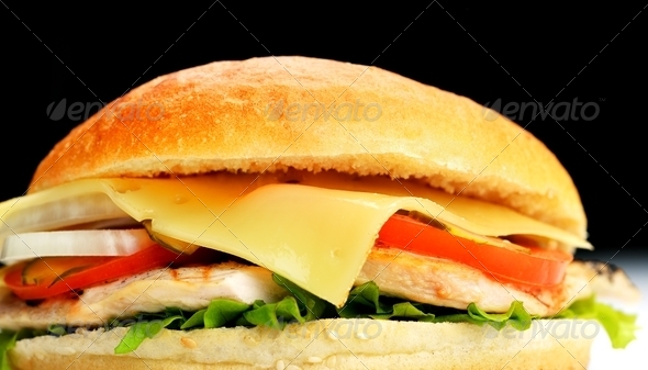 Burger Restaurant Business Plan