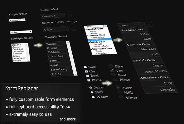 formReplacer - fully customize your form elements - CodeCanyon Item for Sale