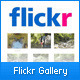 Simple Flickr Gallery - CodeCanyon Item for Sale