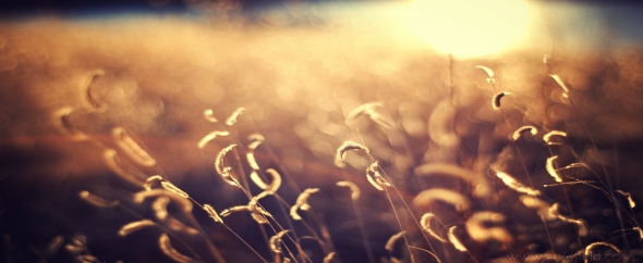Fadinglight