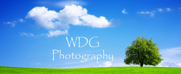 WDG_Photo
