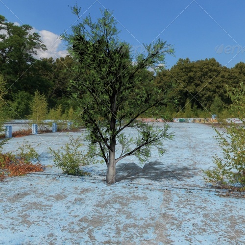 3DOcean tree 139676 3DOcean tree 139676