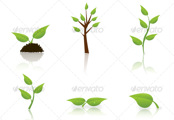 Green Elements - Organic objects Objects