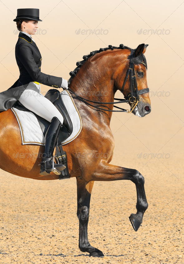 Equestrian Sport - Dressage - Stock Photo - Images