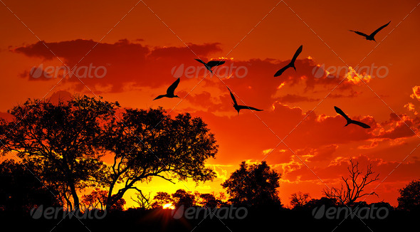 Landscape of Africa with warm sunset - Stock Photo - Images