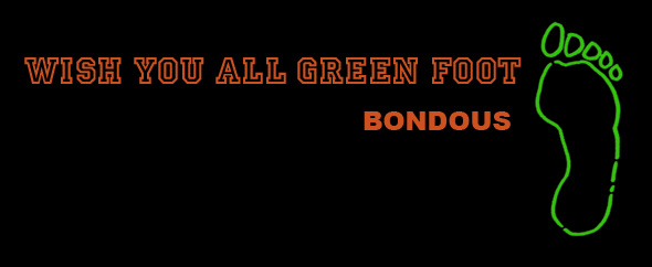 bondous