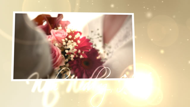 After Effects Project - VideoHive Wedding Hearts CS4 153475 After Effects Project - VideoHive Wedding Hearts CS4 153475