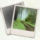 Gritty and Modern Polaroid Photo Frames Gritty and Modern Polaroid Photo Frames - GraphicRiver Item for Sale