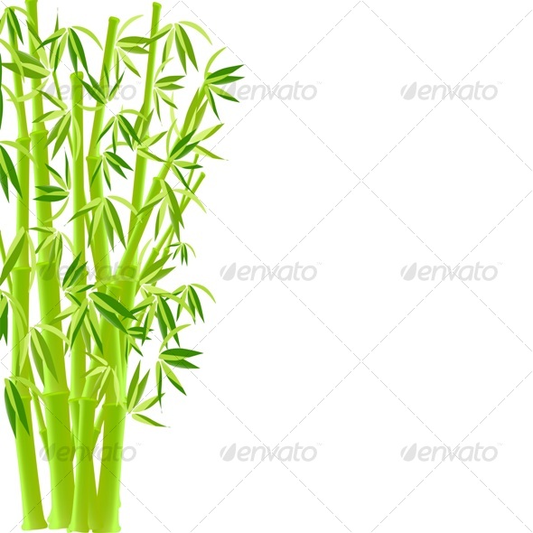 GraphicRiver vector illustration of bamboo 56122 GraphicRiver vector illustration of bamboo 56122