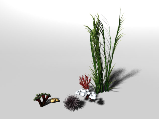 3DOcean Underwater set 1463151 3DOcean Underwater set 1463151