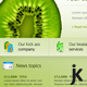 Fruity Kiwi - PSD Template - ThemeForest Item for Sale