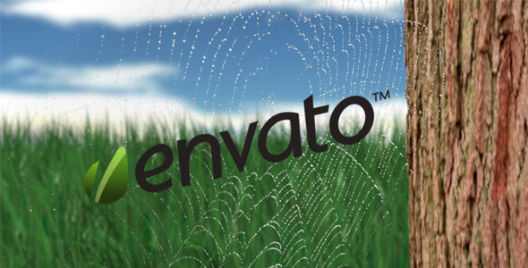 After Effects Project - VideoHive Caught in the Web 1574045 After Effects Project - VideoHive Caught in the Web 1574045