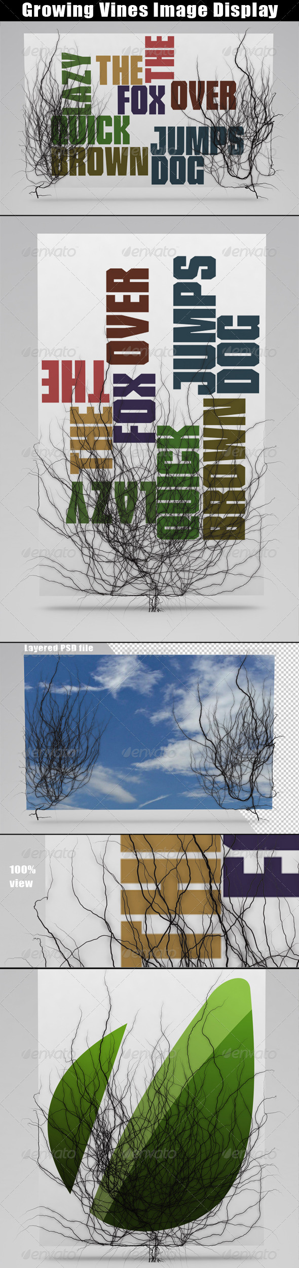 GraphicRiver Growing Vines Image Display 1574206 GraphicRiver Growing Vines Image Display 1574206