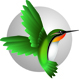 Humingbird Vector Humingbird Vector - GraphicRiver Item for Sale