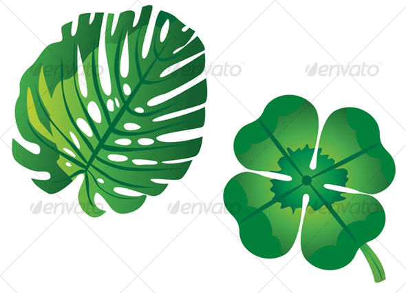 Two green leaves - Flowers & Plants Nature