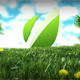 Nature Logo Sting Nature Logo Sting - VideoHive Item for Sale