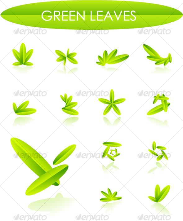 leaves design