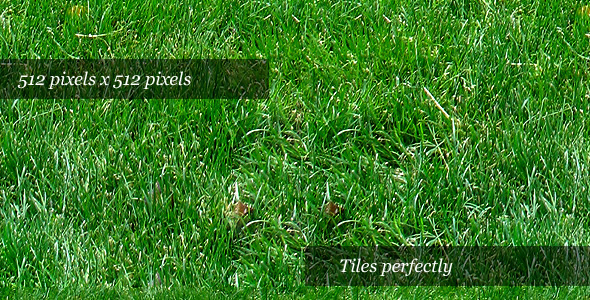 Grass Texture II - 3DOcean Item for Sale