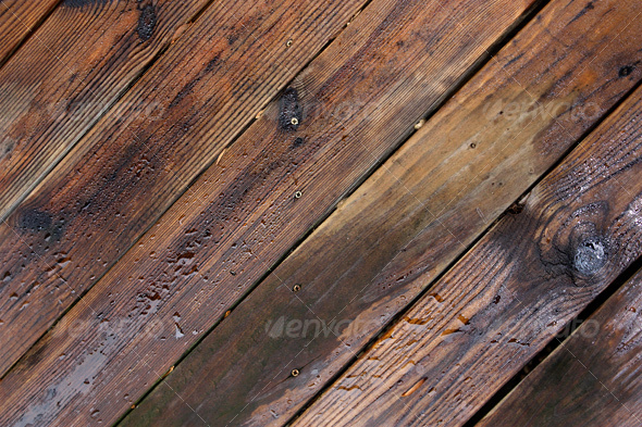 Wet Wood Texture II - Wood Textures