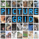 Picture Grid application Picture Grid application - ActiveDen Item for Sale