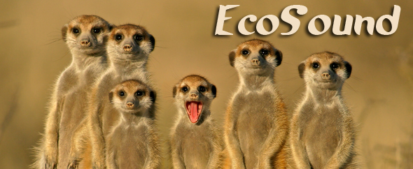 EcoSound