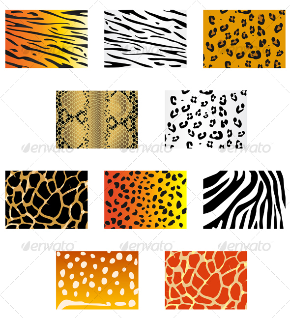 animals wallpaper african safari tigers. Set of animal fur and skin