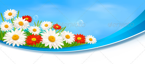 Nature Banners with Red Flowers and Daisies - Flowers & Plants Nature