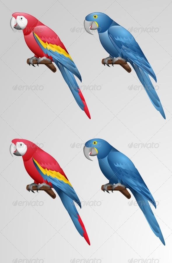 GraphicRiver Parrot Vector 2349573 GraphicRiver Parrot Vector 2349573
