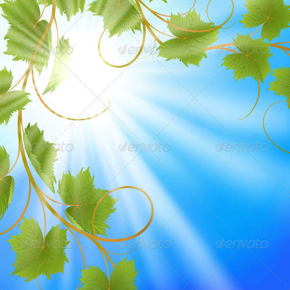 Summer background - Flowers & Plants Nature