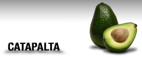 catapalta