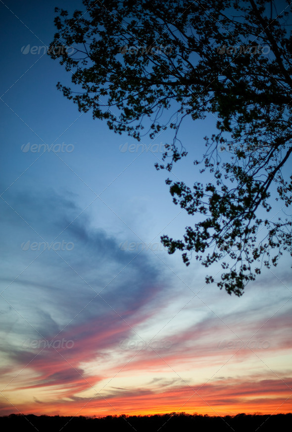 Painted Clouds - Stock Photo - Images