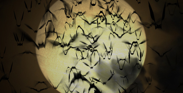 After Effects Project - VideoHive The Night 276119 After Effects Project - VideoHive The Night 276119