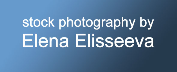 elenathewise