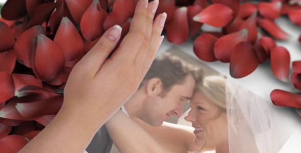 VideoHive American Beauty 2505351 VideoHive American Beauty 2505351