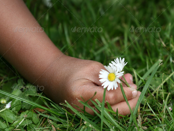 Royalty Free Stock Photography : flower child Photodune 283113 Royalty Free Stock Photography : flower child Photodune 283113