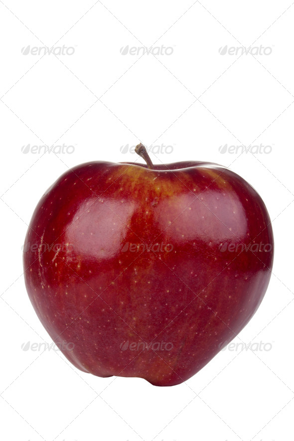 food - Stock Photo - Images