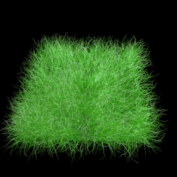 3DOcean Grass 2543349 3DOcean Grass 2543349