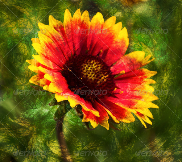 Abstract floral background - Stock Photo - Images