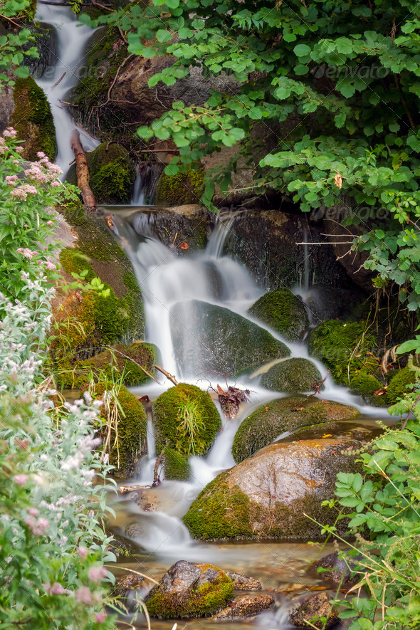 Aiguestortes National Park - Stock Photo - Images