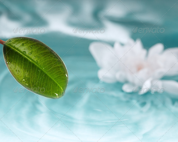 Nature - Stock Photo - Images