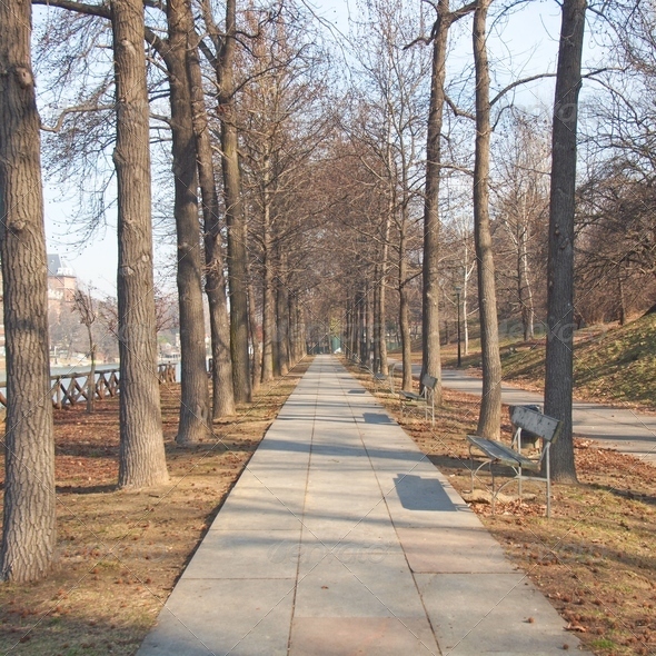 Path among trees - Stock Photo - Images