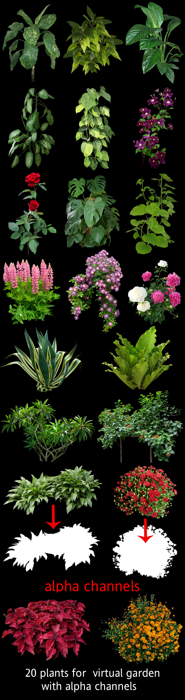 Plants for 3D scenes - 3DOcean Item for Sale