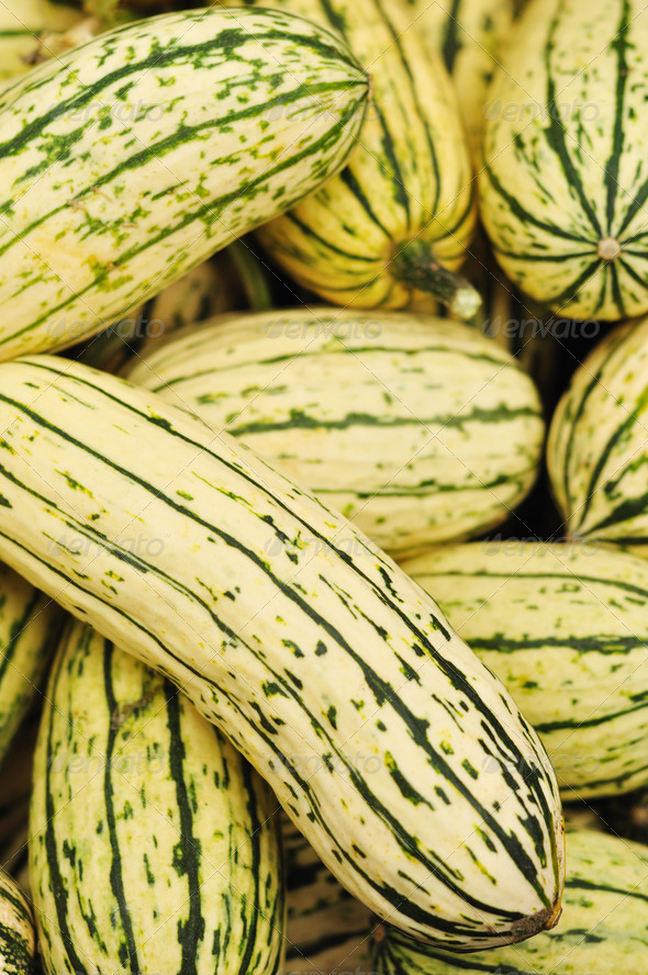 Delicata Squash - Stock Photo - Images