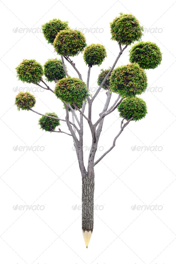 Pencil of wood material with fresh leaves. Green planet concept - Stock Photo - Images