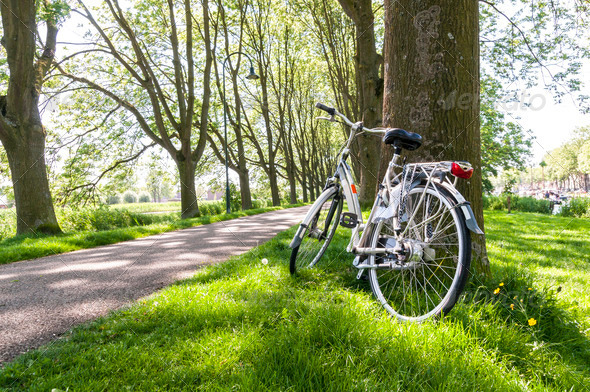 Bicycle in the park - Stock Photo - Images