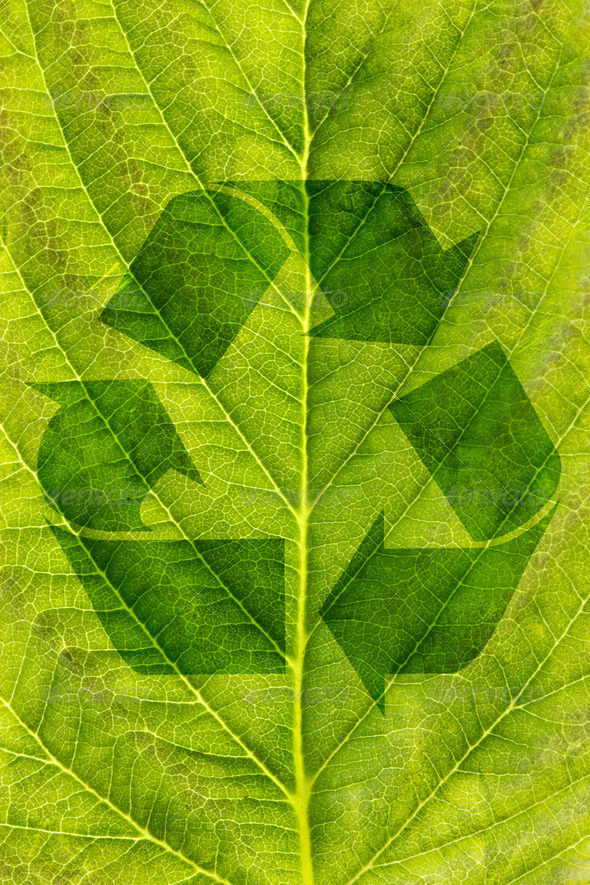 Ecological Recycling Concept - Stock Photo - Images