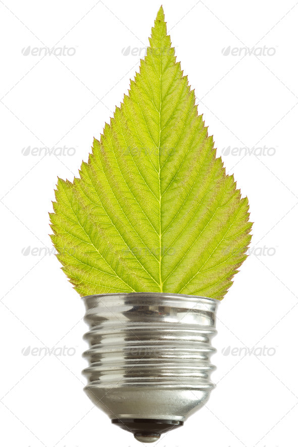 Light Bulb With Leaf - Stock Photo - Images