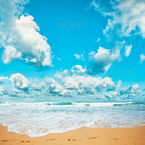 Tropical beach - Stock Photo - Images