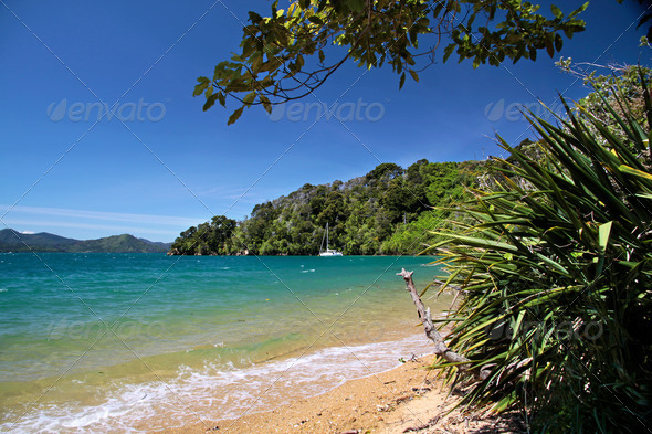 Beach in the Marlborough Sounds - Stock Photo - Images