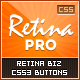 Retina Pro: CSS3 Retina Business Pro 2 Button Set - CodeCanyon Item for Sale